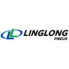 Kit 2 Pneu Ling Long Aro 19 225/40r19 93Y TL AR200 Extra Load